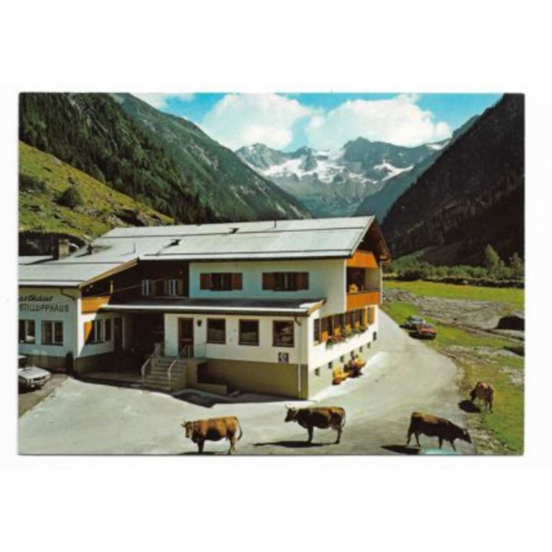 Postkarte-Alpengasthof Stillupphaus, Zillertal-Tirol.