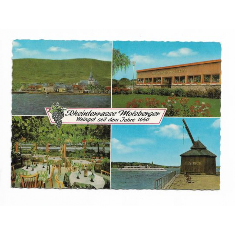 Postkarte-Molsberger Rheinterasse und Weinstube.