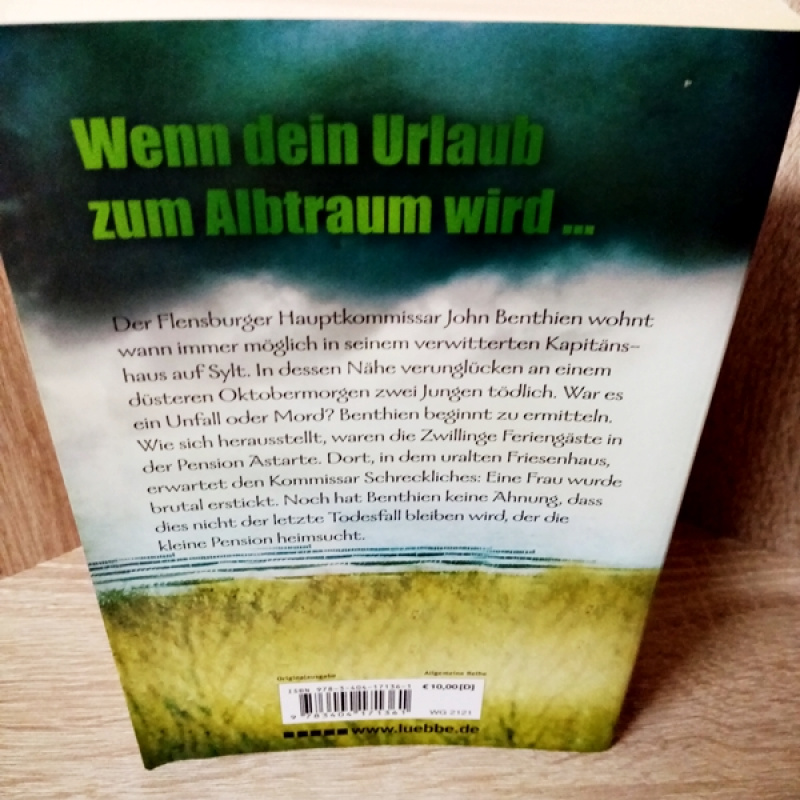 Ohlandt, Nina-Möwenschrei - Nordsee-Krimi.